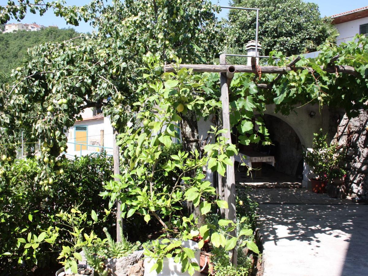 אופטיה Apartments Vesna מראה חיצוני תמונה